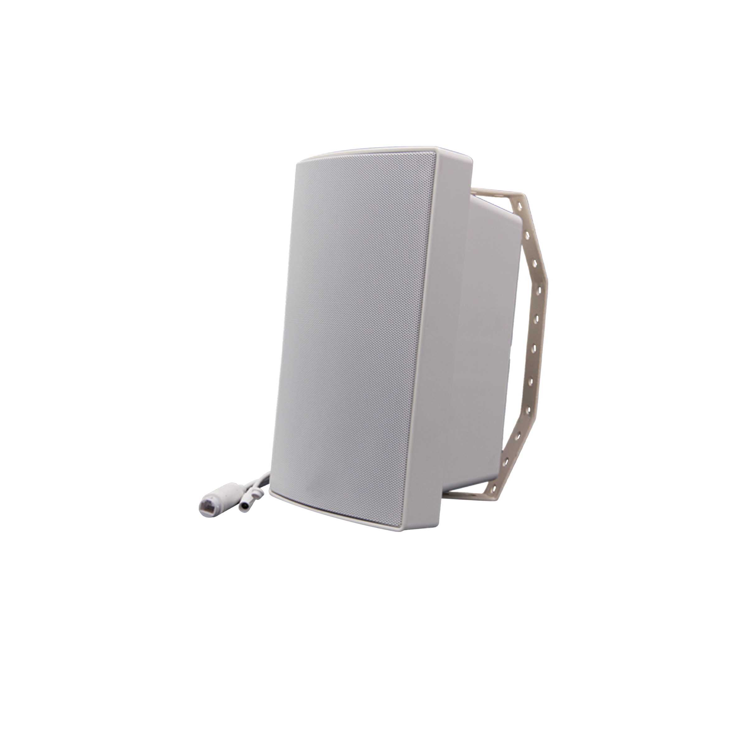 Digital Watchdog - DW-SWSPW30iAM - Built in 30W Amplifier, Wall Mounted Ip-enabled Speaker, Compatible with VoIP Devices (IP PBX, IP Phone) Via SIP
