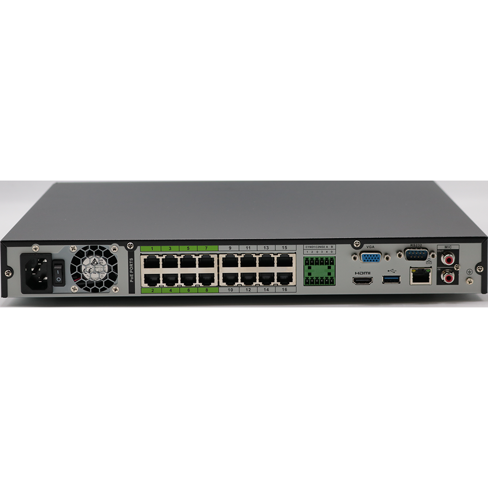 N564E124S