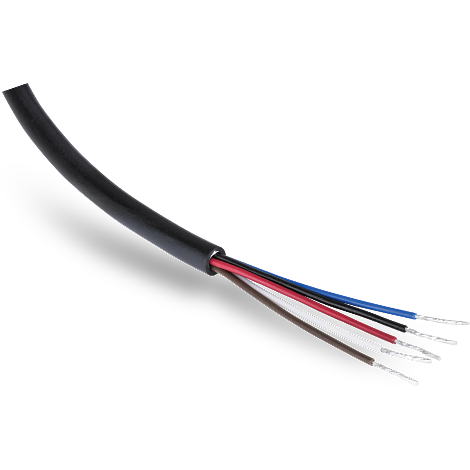 TRENDNET - TI-CP02 - Industrial M12 Female 5-Pin Connector Electrical Cable, 2m (6.5 ft.)